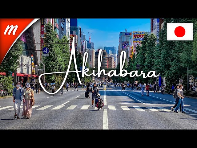 TOKYO WALKING TOURS | Akihabara | July 2020