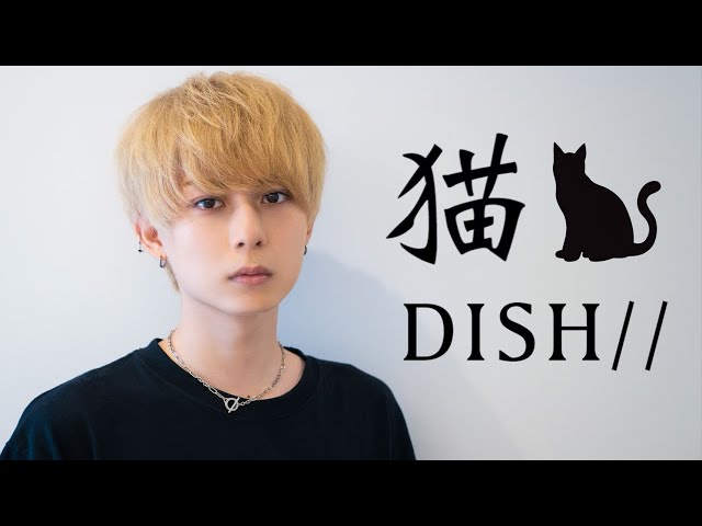 DISH// – 猫  Covered by みきお。