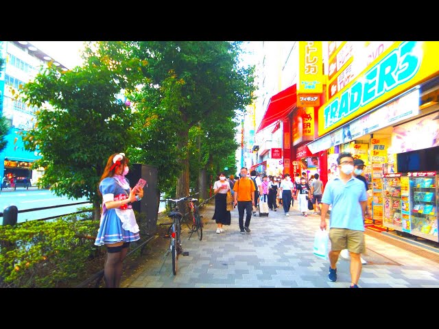 【4K】秋葉原を散歩 Walk around Akihabara【August 2020】