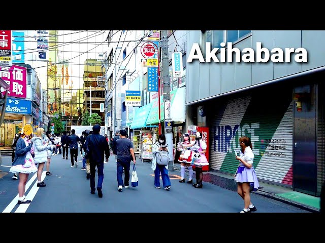 walking [Akihabara] 아키하바라 피규어 메이드카페 게임 전자제품  거리 秋葉原を歩く🚶