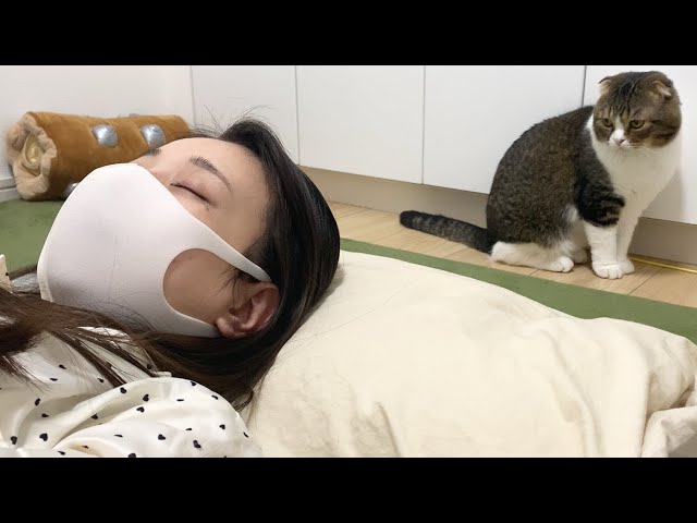 病気のママを看病する猫