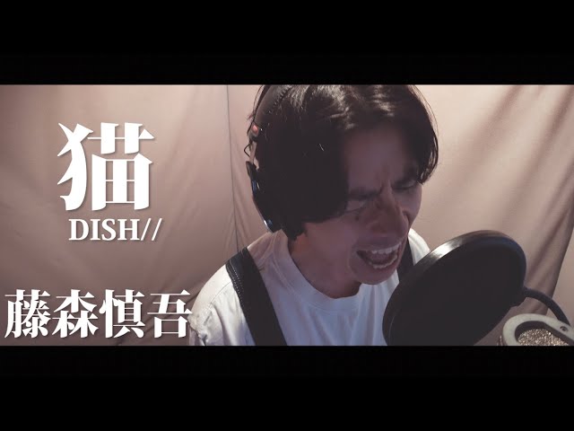 藤森慎吾が【DISH// (北村匠海) – 猫 】 歌ってみた