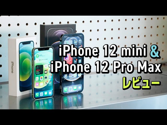 どれだけ小さい？どれだけ大きい？ 「iPhone 12 mini」「iPhone 12 Pro Max」