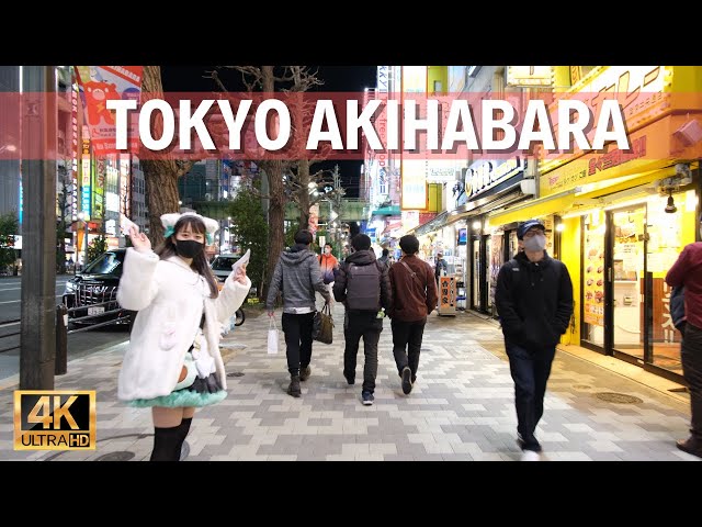 Akihabara Tokyo in the Night. Heaven for anime otaku | Walk Japan 2021［4K］