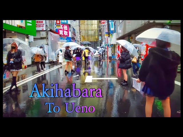 Tokyo’s Akihabara  (Anime Paradise) to Ueno’s Popular shopping street ,Rainy day Walk