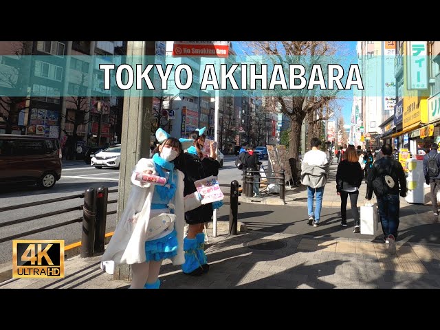 Akihabara Tokyo. Paradise for anime geek | Walk Japan, 2021［4K］