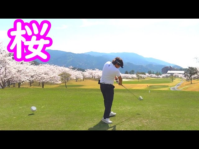 桜満開ゴルフの前半結果！