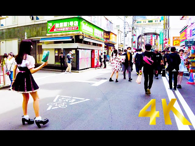 [Akihabara Walk in Tokyo] Moe Moe Kyun Kyun Street Walk ♪ (4K ASMR Nonstop 1 hour 01 minutes)