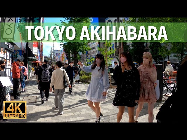 Akihabara Tokyo. Paradise For Anime Geek | Walk Japan 2021 ［4K］