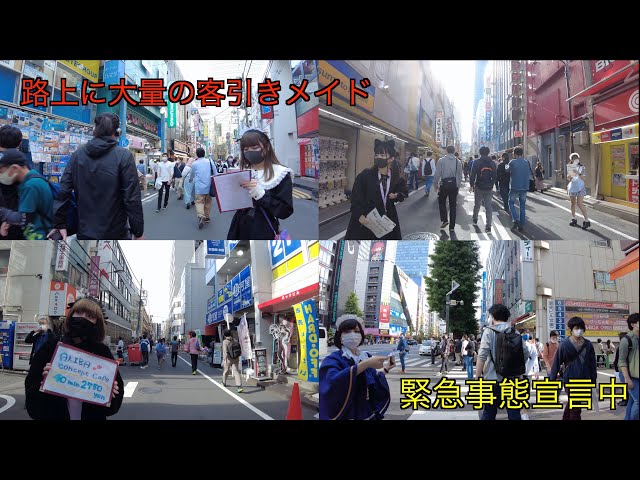 【4K】秋葉原 緊急事態宣言中に大量の客引きメイド Walk on Akihabara in Tokyo【2021】