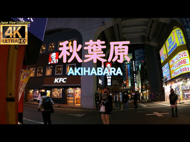 【4K】 Tokyo Night Walk / Akihabara / 秋葉原