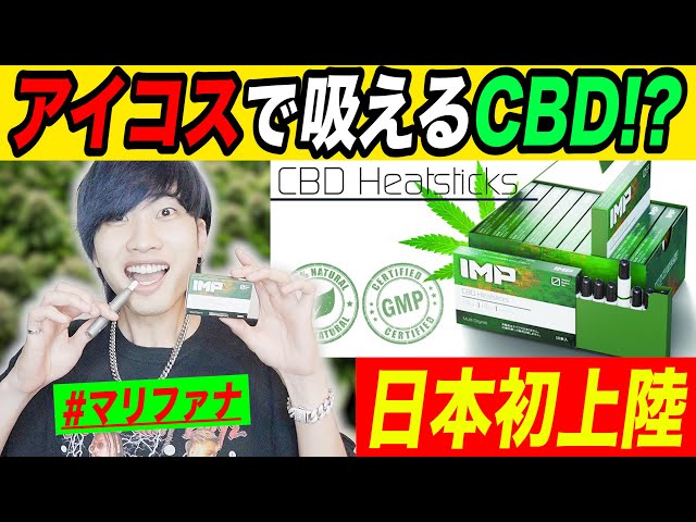 【大麻】アイコスで吸えるCBDスティックが日本初上陸！新感覚のCBDビーズが凄かった。【合法大麻】