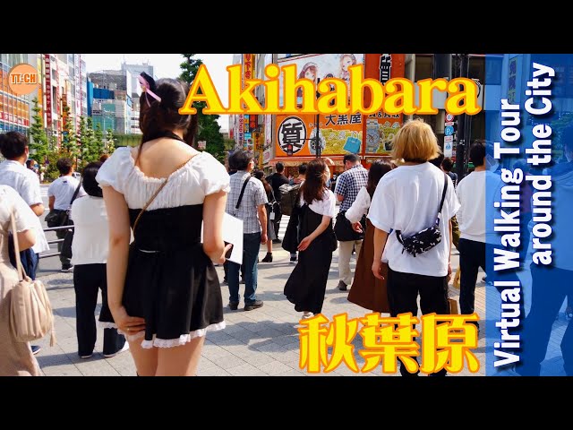 【4K】秋葉原 Akihabara Virtual Walking Tour around the City
