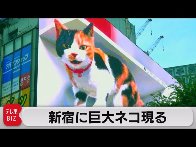 リアル！巨大な3D三毛猫が東京・新宿に出現（2021年7月8日）
