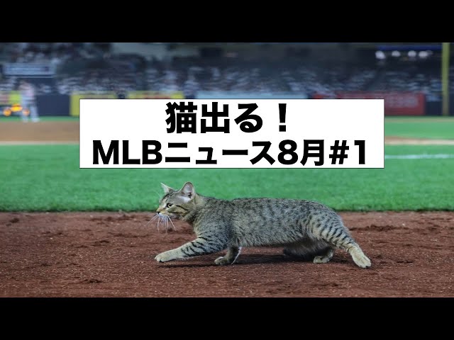 猫出る！MLBニュース8月#1