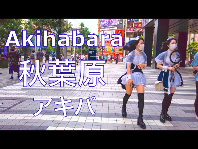 【4K】 Walking Akihabara is crowded with maids.秋葉原 アキバ