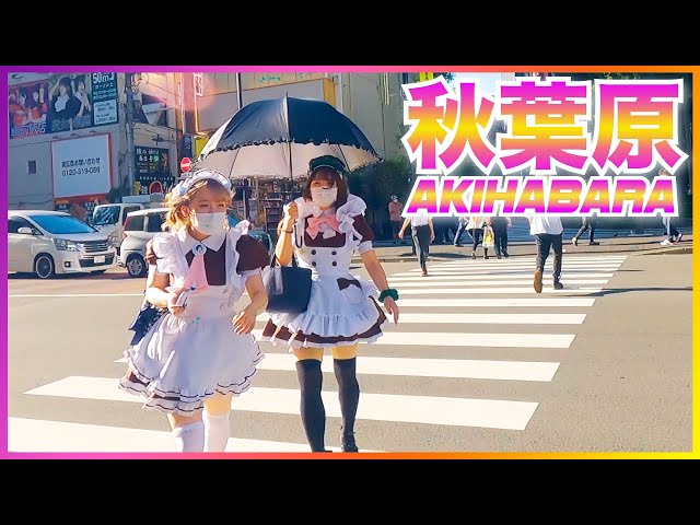 Akihabara Walk in Tokyo – 夏の秋葉原・アニメタウンウォーキング Anime&Maid Town Akihabara Tokyo Walk (2021)