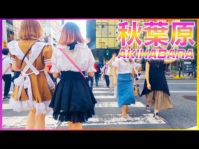 Akihabara Walk in Tokyo – 夏の秋葉原・アニメタウンウォーキング Anime&Maid Town Akihabara Tokyo Walk (2021)