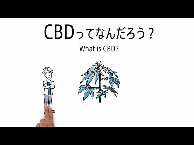 【シンプルに解説】CBD(カンナビジオール)ってなんだろう？ -What is CBD?-