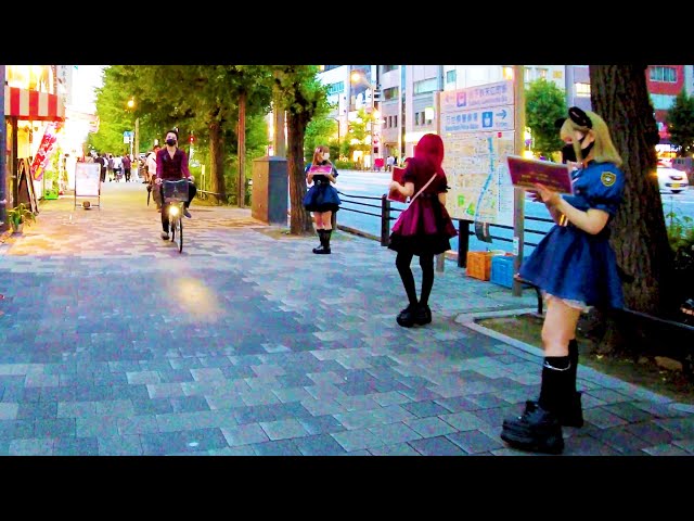 [Akihabara Walk in Tokyo] Cosplay Sanctuary ♪ (4K ASMR non-stop 1 hour 02 minutes)