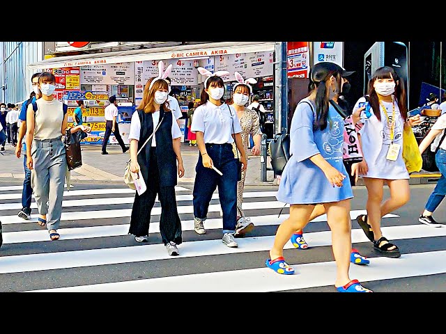 【Akihabara Walk in Tokyo】Lively weekdays【4K】