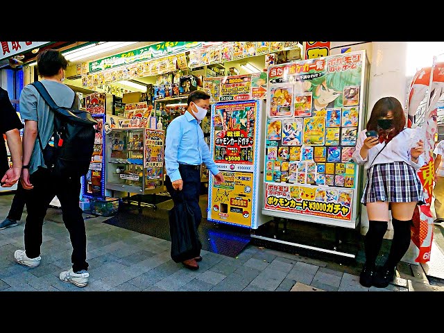 【Akihabara Walk in Tokyo】A very colorful city【4K】