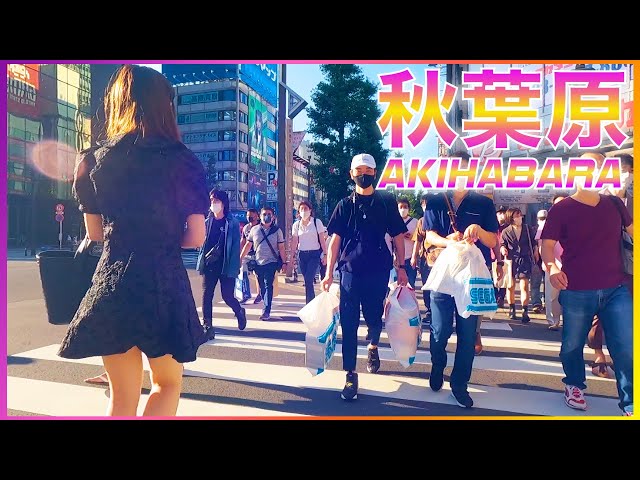 Akihabara Walk in Tokyo – 真夏の夕暮れ時の秋葉原・アニメタウン Anime&Maid Town Akihabara Tokyo Walk (2021)