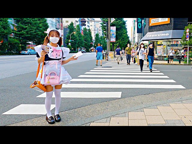 【Akihabara Walk in Tokyo】Summer Anime City【4K】