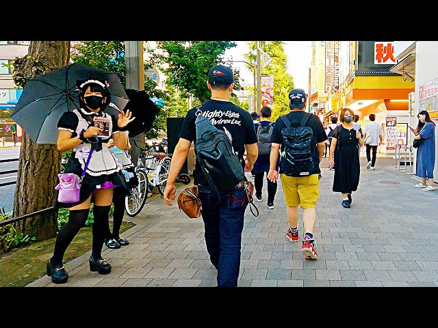 【Akihabara Walk in Tokyo】Midsummer tourism【4K】