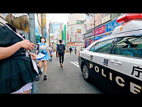 【Akihabara Walk in Tokyo】Weekday Anime City【4K】
