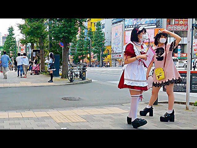【Akihabara Walk in Tokyo】Cosplay Town【4K】