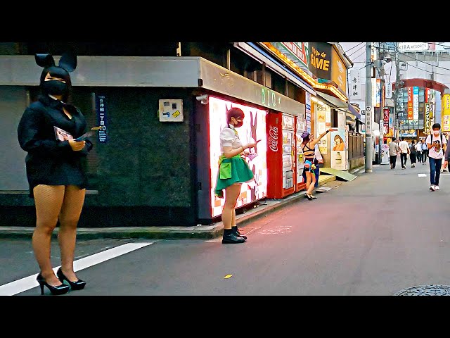 【Akihabara Walk in Tokyo】Days with many maids【4K】