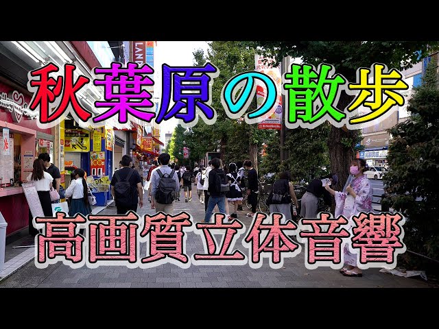 【東京都 4K】秋葉原の散歩/メイド通り(立体音響ASMR)