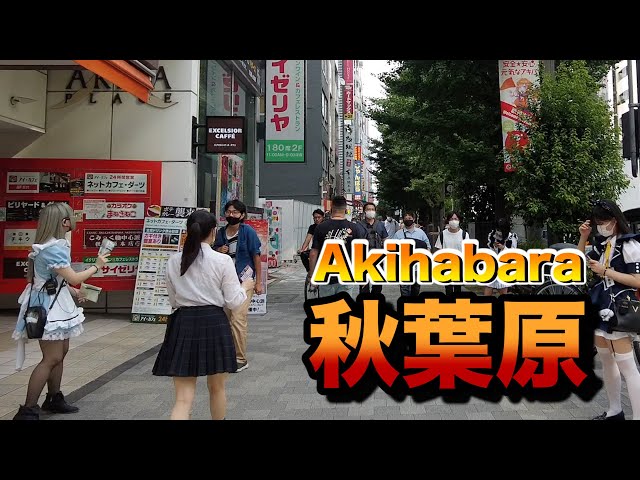 【60fps】walk in Akihabara【秋葉原をお散歩】2021年9月11日