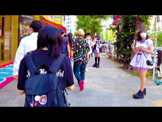 [Akihabara Walk in Tokyo] Anime Street ♪ (4K ASMR non-stop)
