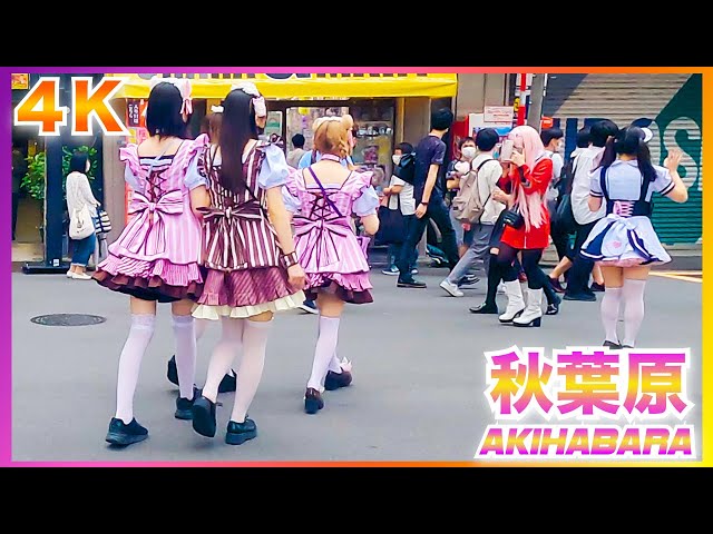 【4K】Akihabara Walk in Tokyo – アニメタウン秋葉原散歩【メイド・アニメ】