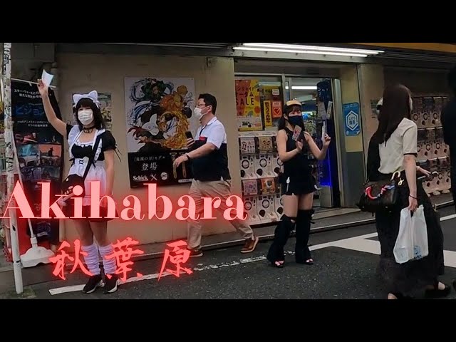 Akihabara Tokyo walking tour|　秋葉原を散歩 【4K】Many type maid cafe girls.