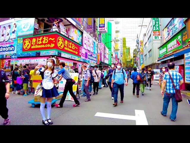 [Akihabara Walk in Tokyo] Maid Cafe Paradise ♪ (4K ASMR non-stop 1 hour 05 minutes)