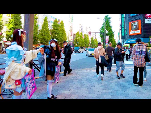 [Akihabara Walk in Tokyo] Moe Moe Square ♪ (4K ASMR non-stop 1 hour 06 minutes)
