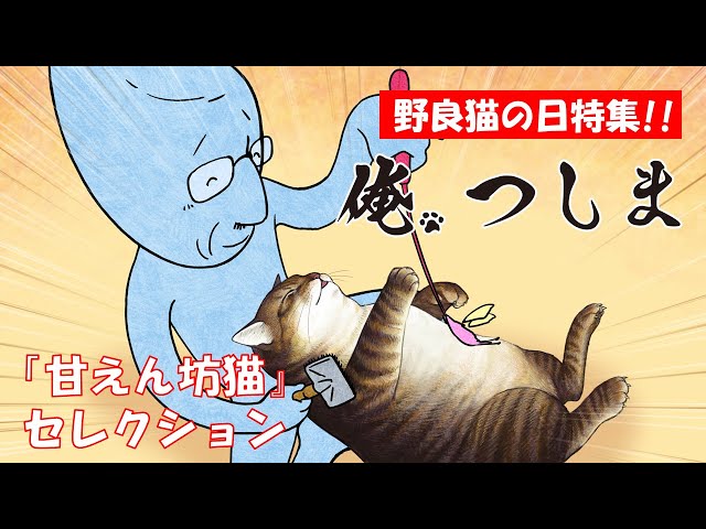 【俺、つしま】特集｜甘えん坊猫セレクション
