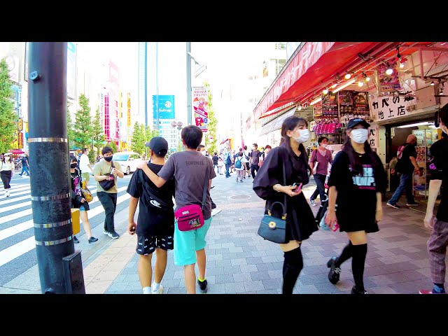 [Akihabara Walk in Tokyo] Maid cafe, anime ♪ (4K ASMR non-stop 40 minutes)