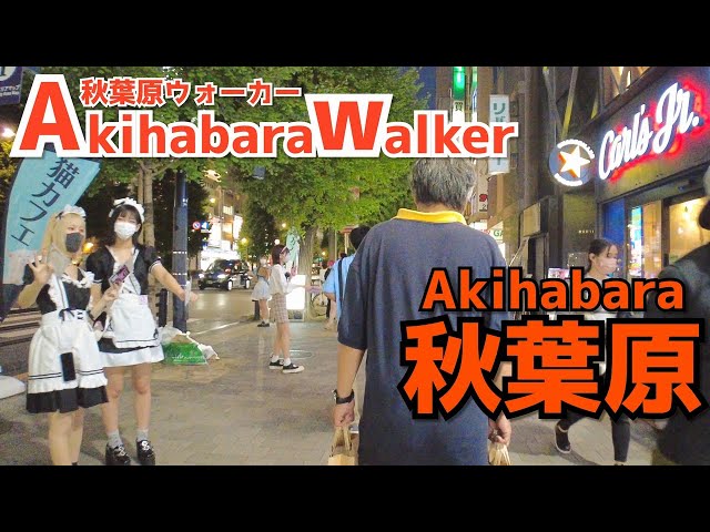[秋葉原散歩] Walk in Akihabara | 平日夕方に秋葉原を散策（2021年9月#9）