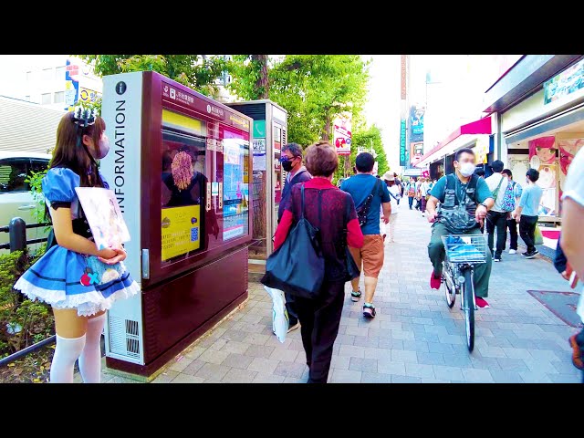 [Akihabara Walk in Tokyo] Moemoe Street ♪ (4K ASMR non-stop 35 minutes)