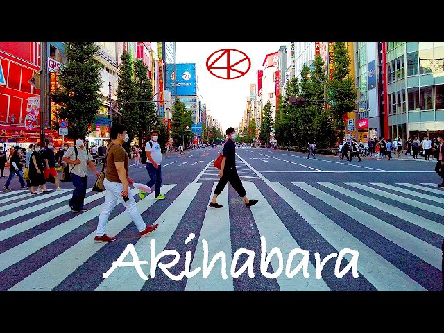 【東京散歩】再開ホコ天 秋葉原 歩行者天国 4K Tokyo Akihabara Pedestrian Paradise Walk