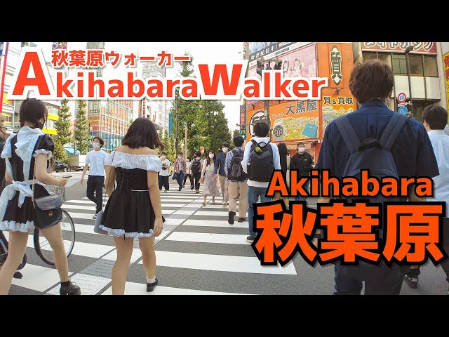 [秋葉原散歩] Walk in Akihabara | 緊急事態宣言解除後の休日昼に秋葉原電気街口周辺を散策（2021年10月#2）