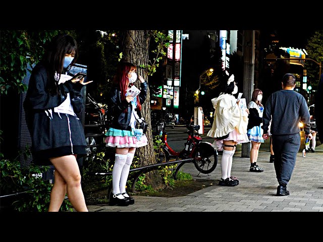【Akihabara Walk in Tokyo】Night maids【4K ASMR】