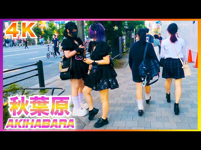 【4K】Akihabara Walk in Tokyo – 歩行者天国で賑わう秋葉原【メイド・アニメ】