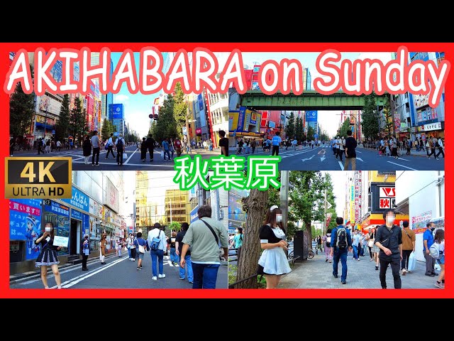 【4K/60FPS】Akihabara on Sunday afternoon / 秋葉原 日曜の午後 メイド通り、アイドル通り（Oct. 2021）
