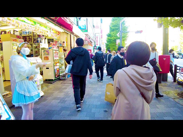[Akihabara Walk in Tokyo] Visiting maid cafes ♪ (4K ASMR non-stop 1 hour 01 minutes)