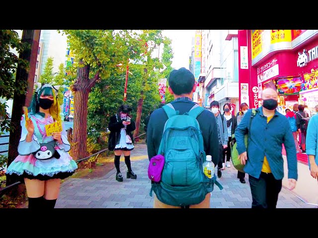💖 Akihabara Walk in Tokyo 💖🤸‍♀️ Let’s play here ♪ 🐶📺 4K ASMR Nonstop 1 hour 01 minutes ⌚